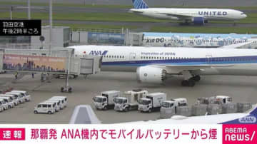 那覇発 ANA機内でモバイルバッテリーから煙 けが人なし