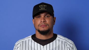 【阪神】ヘルナンデスがアピール　フェニックス4試合のうち3試合で「タイムリー含むマルチ安打」