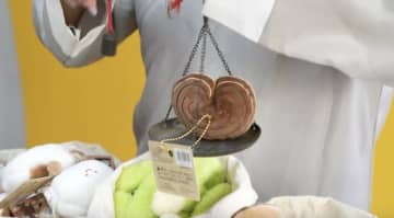 広東省発のアートトイが世界で爆売れ「触れられる東洋文明」が大ヒット