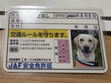 JAFが作ってくれた〝犬の免許証〟に2.5万人から大絶賛　「なめイヌやん！」「控えめに言って良すぎる」
