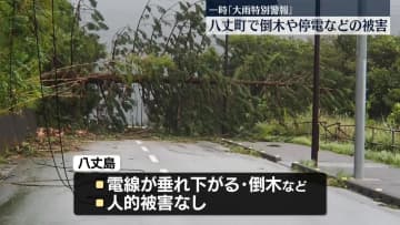 八丈町で一時「大雨特別警報」 倒木や停電などの被害