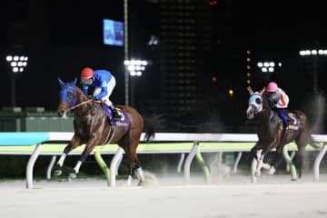 【ジャパンダートクラシック】ナルカミが逃げ切る…ナチュラルライズ三冠ならず