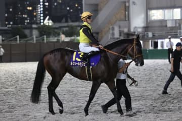 【ジャパンダートクラシック】佐々木大「右から左へ手前を替えるのが得意ではないです」帰国初戦のルクソールカフェは3着まで