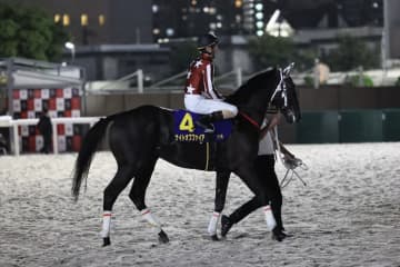 【ジャパンダートクラシック】矢野「これからの馬です」大井のナイトオブファイアは7着