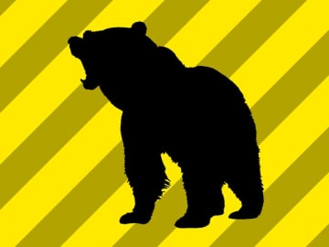 栗の収穫中、クマに尻かまれ軽傷　秋田、湯沢市でも被害