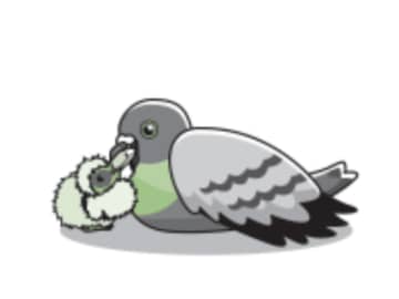 鳥はオスもミルクで子育てする！？ 一部の鳥しか出せない特別なミルクとは【眠れなくなるほど面白い 図解 鳥の話】