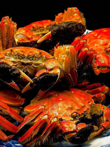 “秋の美食、ここに極まる”麻布十番の本格中華「シーファン」、待望の【上海蟹特別コース】を10月14日より期間限定で提供開始　姿蒸しから紹興酒漬け、グラタンまで。職人技が光る多彩な上海蟹料理で秋の味覚を堪能。
