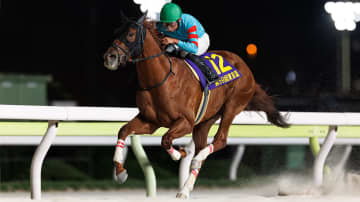 【東京盃回顧】ヤマニンチェルキが重賞3連勝を飾る　岩田望来騎手「強い勝ち方だったので、次も自信を持って挑めると思います」