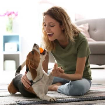 犬からの『愛され度』を測る方法５選　愛情を深めるコツや愛犬から好かれやすい人の共通点まで