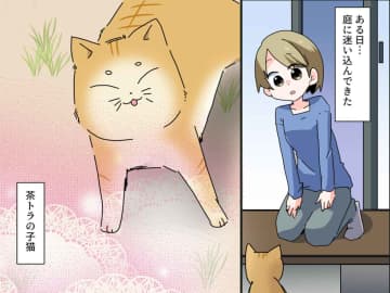 「だ、だれ！？」引き取った迷い猫に【ついてきたもの】にビックリ！