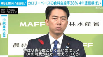 カロリーベースの食料自給率38％ 4年連続横ばい コメ消費増も猛暑で野菜減少