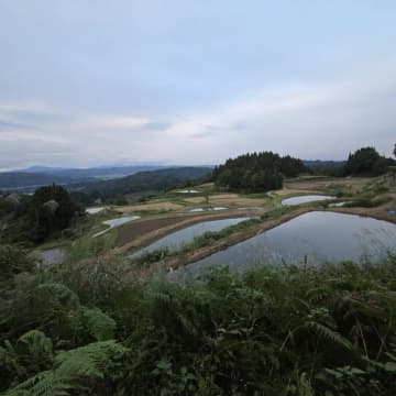 風土の通訳者たれ！ 長岡で見つけた「懐かしい未来」への道標 🐻🌾-みちくさFeelog #08