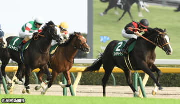 【サウジアラビアロイヤルＣ】レース適性の違いで避けるべき前走組がある？ 過去10年の傾向から見えてくる買えない馬とは！？