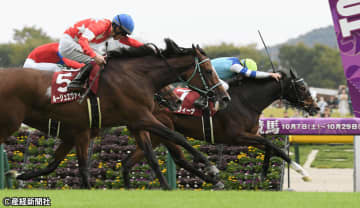 【アイルランドＴ】好走確率が上がるのは前走苦戦馬!? 過去10年の傾向から考える攻略ポイント
