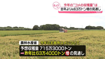 今年のコメ収穫量　去年に比べ約63万トン増の見通し