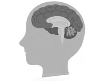 人はなぜ夢を見るのか？ 脳がつくる“良い夢と悪い夢”の正体【１週間で勝手にぐっすり眠れる体になるすごい方法】