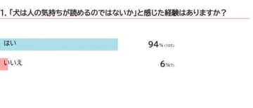 犬は人の気持ちを読み取ることができるって本当？獣医師に聞いた