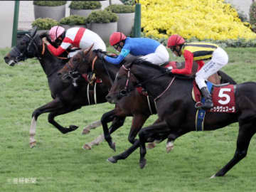 【スワンS】高齢馬も侮れないが３、５歳馬優勢！年齢で見る攻略POINT