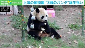 色とりどりの野菜や果物を堪能！動物園で3頭のパンダの誕生祝い 中国・上海