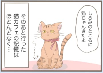 【漫画】早く一人になって落ち着きたいと思った矢先に…【前科持ちの義母と同居 Vol.6】