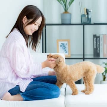 犬にとって絶対NGな『愛情表現』５選　飼い主が避けるべき行動や正しいスキンシップまで
