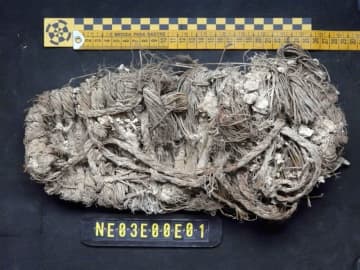 ヒゲワシの巣から７世紀以上前のサンダル見つかる、他にも驚きの文化的遺物が　スペイン