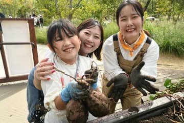 「こんなに大きくなるなんて」万博で開幕日に植えたサツマイモ収穫祭