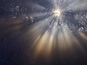 喜多規子氏写真展：FORM