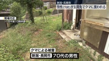自宅の柿の木近くにクマ、男性が襲われケガ　クマは逃走　新潟・長岡市