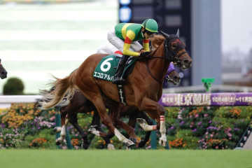 【サウジアラビアRC】エコロアルバがゴボウ抜き！デビュー2連勝で重賞初制覇