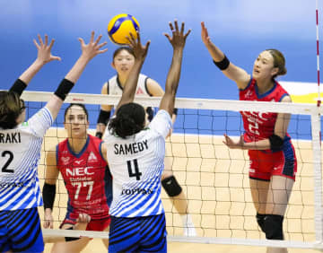 NEC川崎、初戦で快勝　バレー女子のSVリーグ