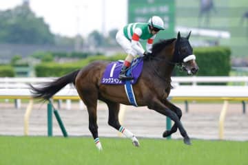 【南部杯見どころ】中央の精鋭と地方の雄が激突…初ダート・シックスペンスも参戦へ