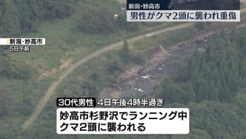 男性がクマ2頭に襲われ重傷　新潟・妙高市