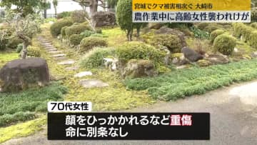 農作業中の70代女性、クマに襲われ顔など大ケガ　宮城・大崎市