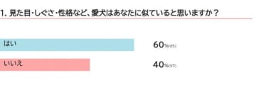 犬は飼い主に似てくる？人から受ける影響とその理由を獣医師が解説