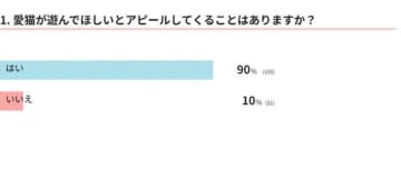 「おなかを出す」「鳴く」は遊びたいアピールかも！？猫からの遊びの誘い