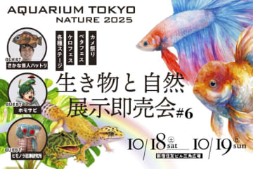 【新宿住友ビル三角広場】小学生以下は入場無料！国内最大級の『AQUARIUM TOKYO NATURE 2025』が10月18日より開催！