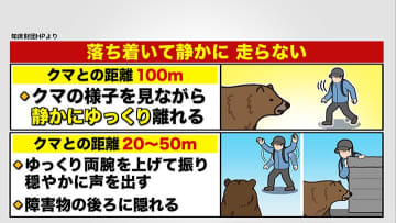 【熊に遭遇したら】ヒグマ防除隊長による徹底解説「予想超えた状態」激増する市街地への出没「クマがパニックになるトリガーは人間にはわからない。個体数を調整しなければいけない日は目前に迫っている」＜札幌市＞