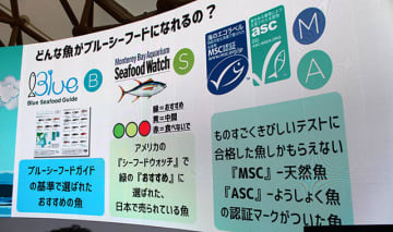 違法漁業でとれた魚を知らずに食べてる現実を変革　MSC 海のエコラベル ASC 認証ラベルの商品を選んで海や人権を守ろう　大阪・関西万博でシーフードレガシー花岡和佳男代表らと共有