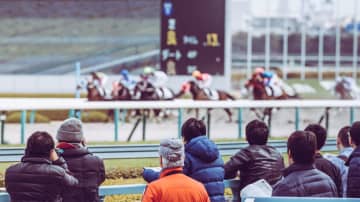 競馬で「1000万円」当たっても、税金が“100万円”以上!? 高額だと国税に“情報提供”される可能性も…宝くじも「公営ギャンブル」なのに、競馬だけ課税される理由とは