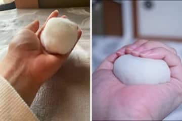 【ハムスターor大福】手のひらに乗る、そっくりすぎる白い物体に「両方ハムスター」「両方とも大福」とSNS白熱