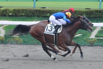 【新馬/東京6R】単勝13番人気セイントエルモズが波乱を演出