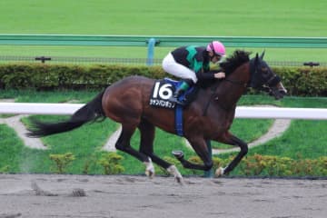 【東村山特別】断然人気シャンパンポップが圧勝