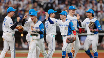 【日本ハム】逆転勝利で福岡行き決定！レイエスが8回に逆転打　本塁打0も…打線つながり12安打5得点