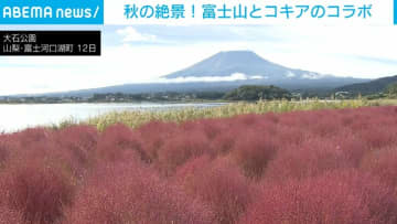 秋の絶景！富士山とコキアのコラボ 山梨
