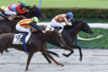 【新馬/東京4R】10番人気の伏兵レイオブファイアが波乱を演出