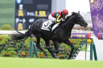 【東京3R】クロワデュノール全弟 チャリングクロスが初勝利