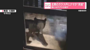 玄関のガラス戸にクマが“突進”