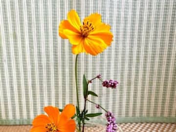 少量のお花をかわいく＆おしゃれに飾る裏ワザ。使うのはおうちにある"定番品"！