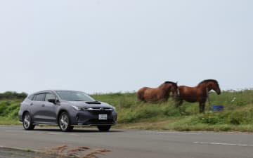 スバル「レヴォーグ レイバック」で北海道・釧路を巡る旅